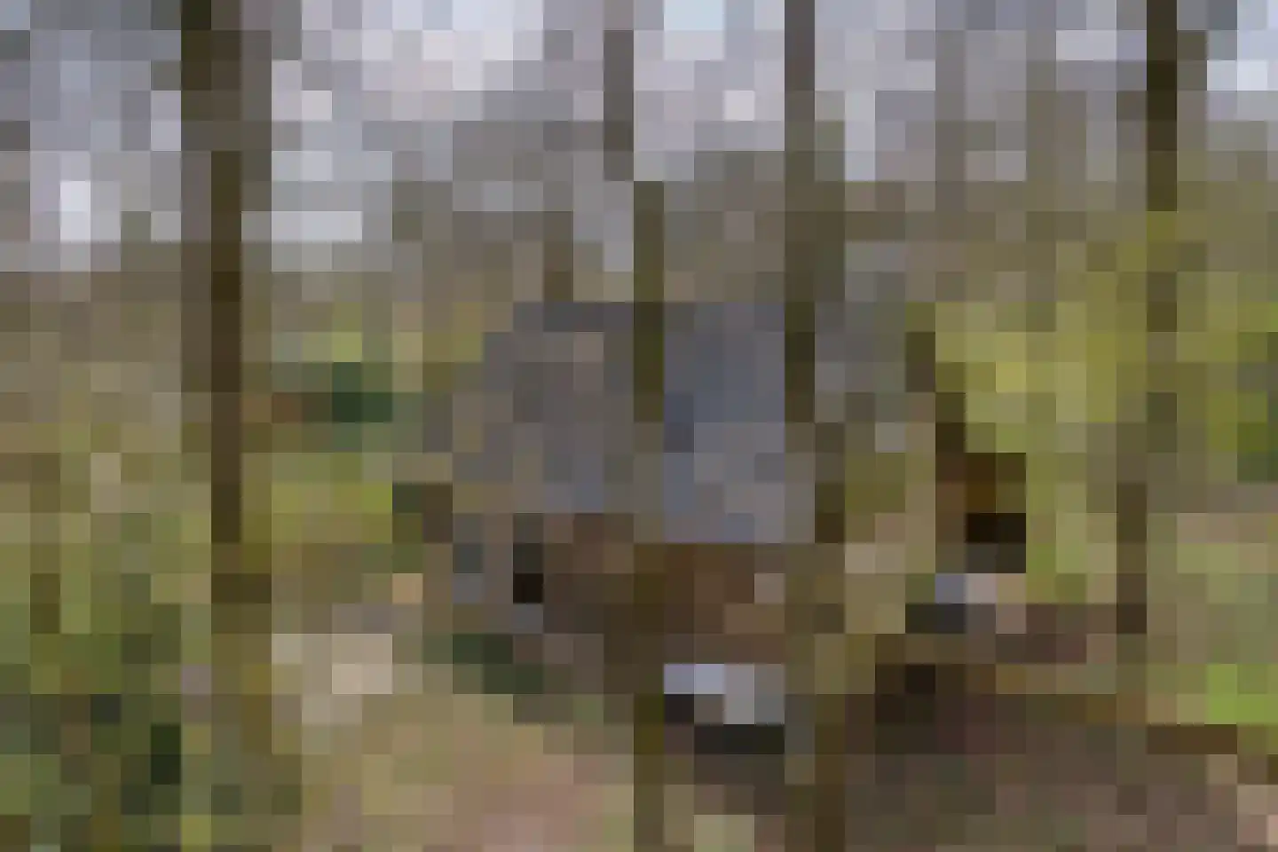 Tienelsweg 37 127 Zuidlaren thumbnail 39