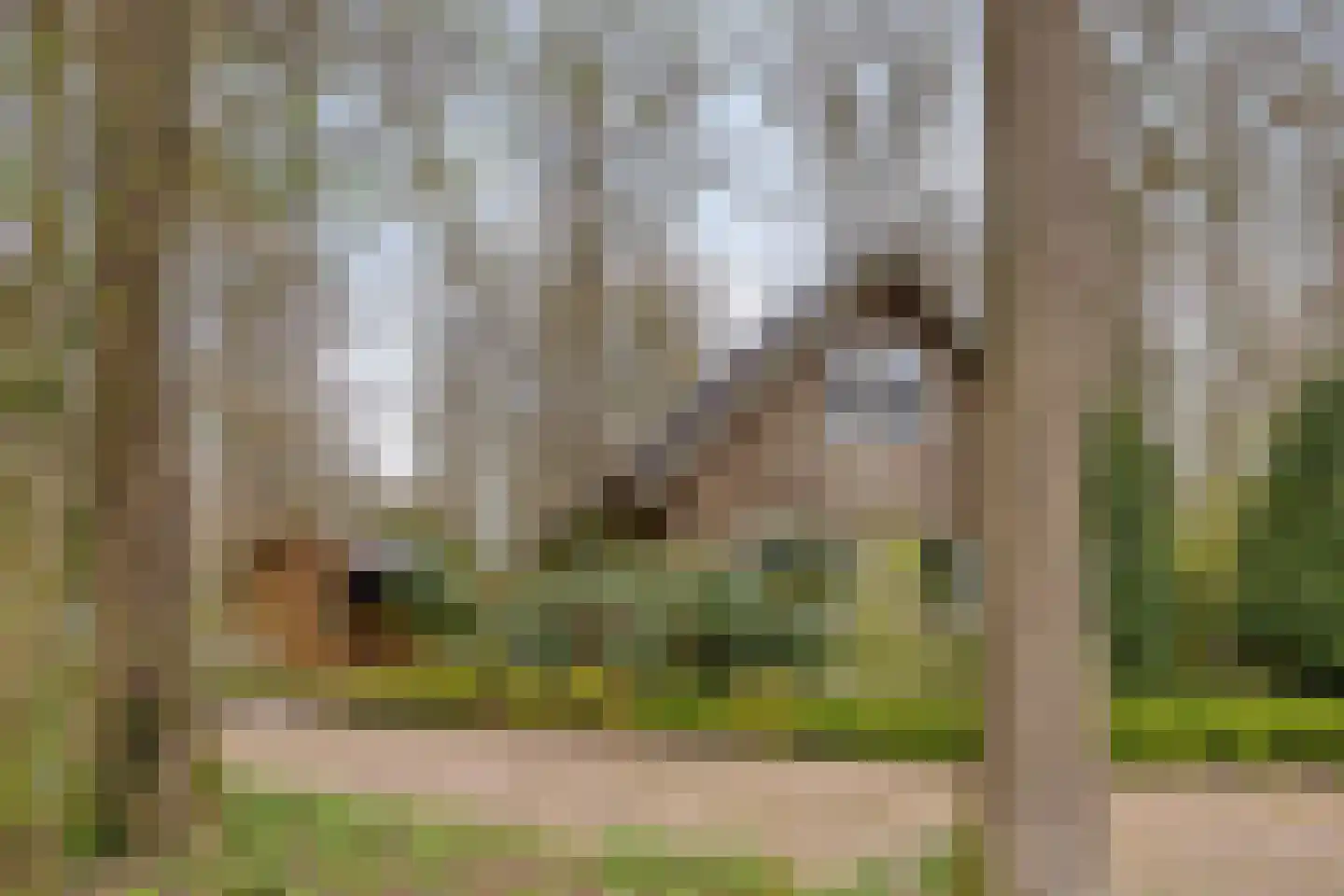 Tienelsweg 37 127 Zuidlaren thumbnail 4