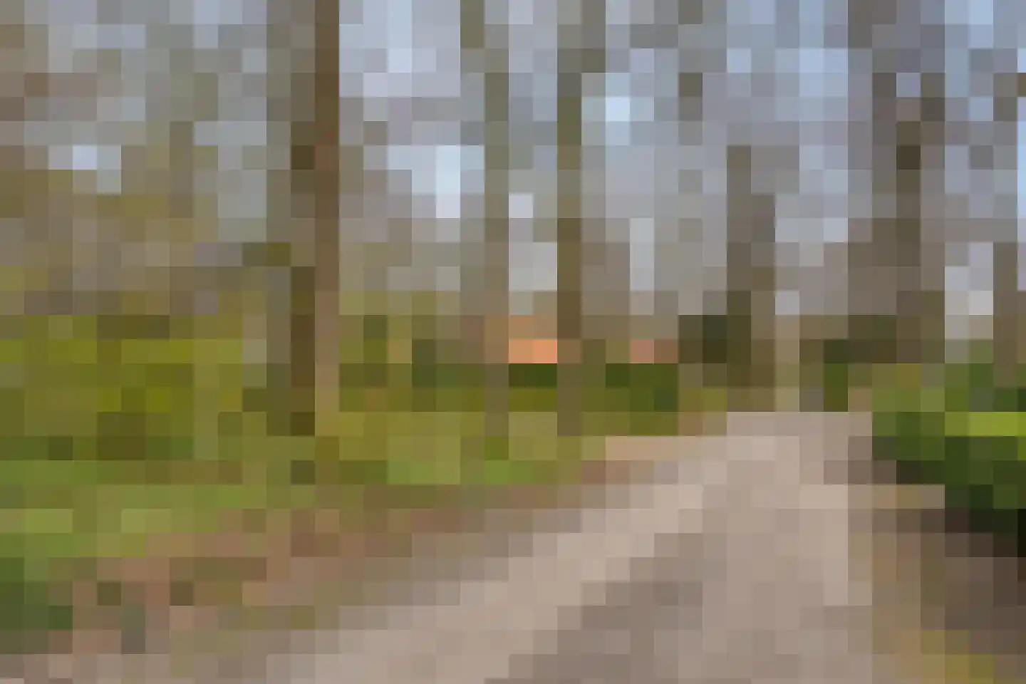Tienelsweg 37 127 Zuidlaren thumbnail 40