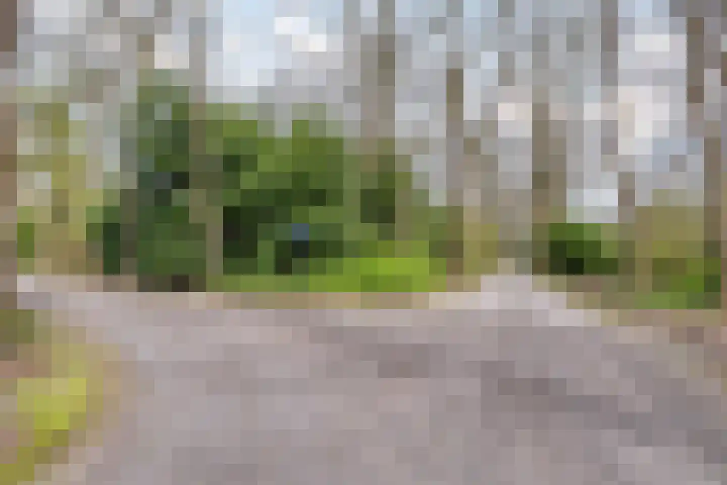 Tienelsweg 37 127 Zuidlaren thumbnail 41