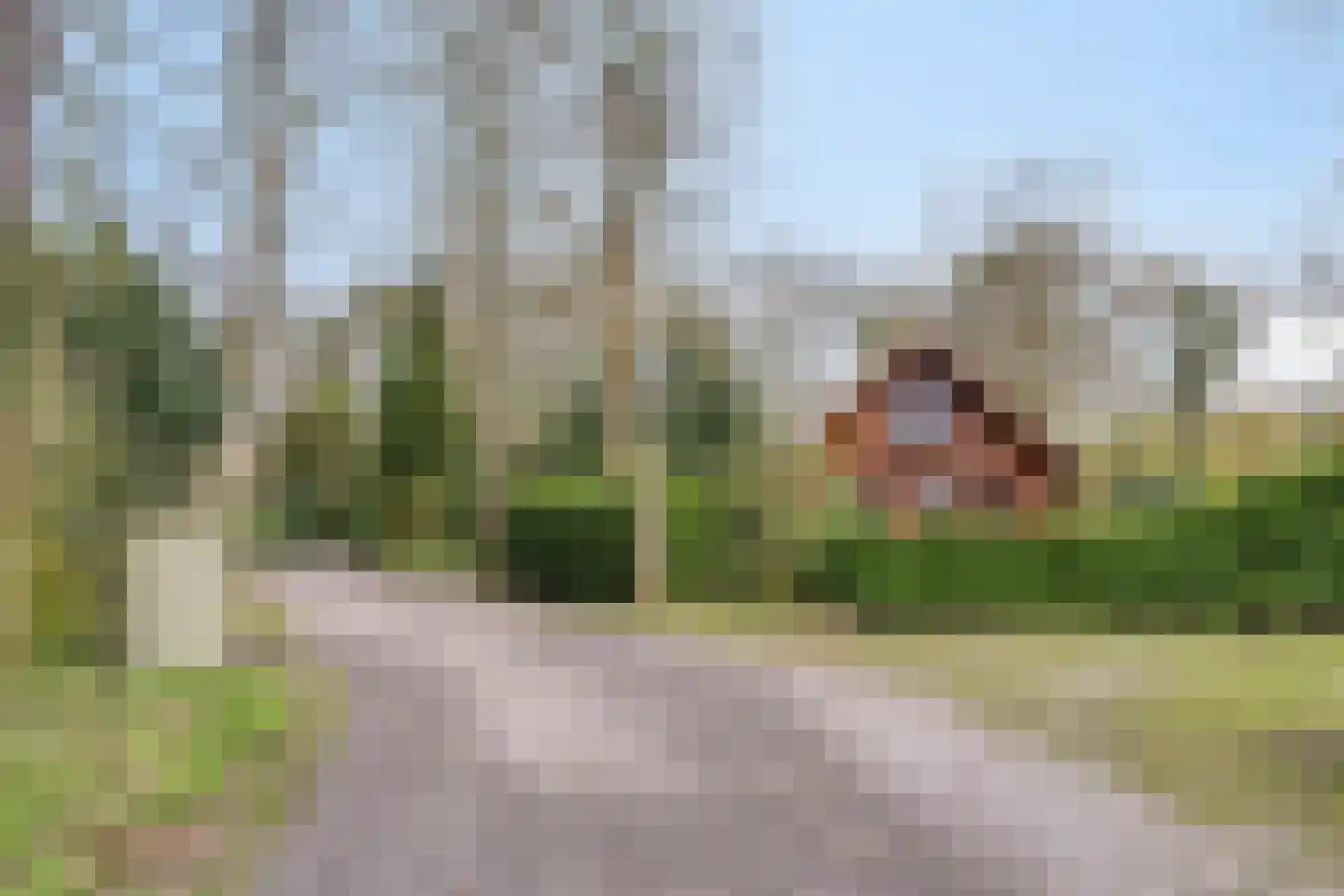 Tienelsweg 37 127 Zuidlaren thumbnail 42