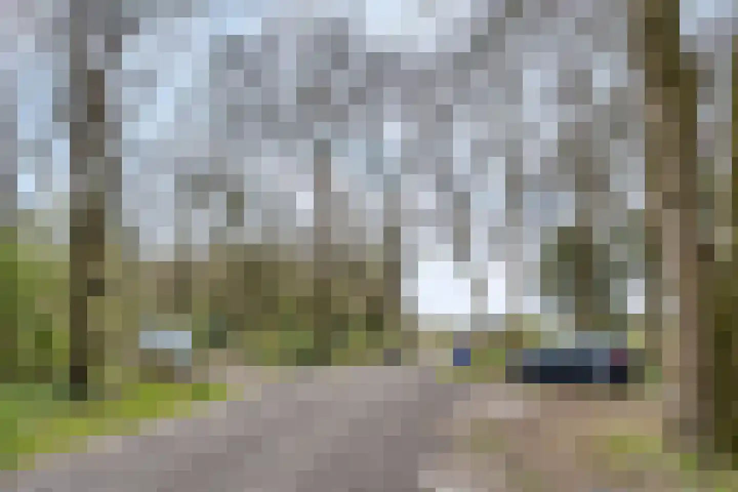 Tienelsweg 37 127 Zuidlaren thumbnail 44