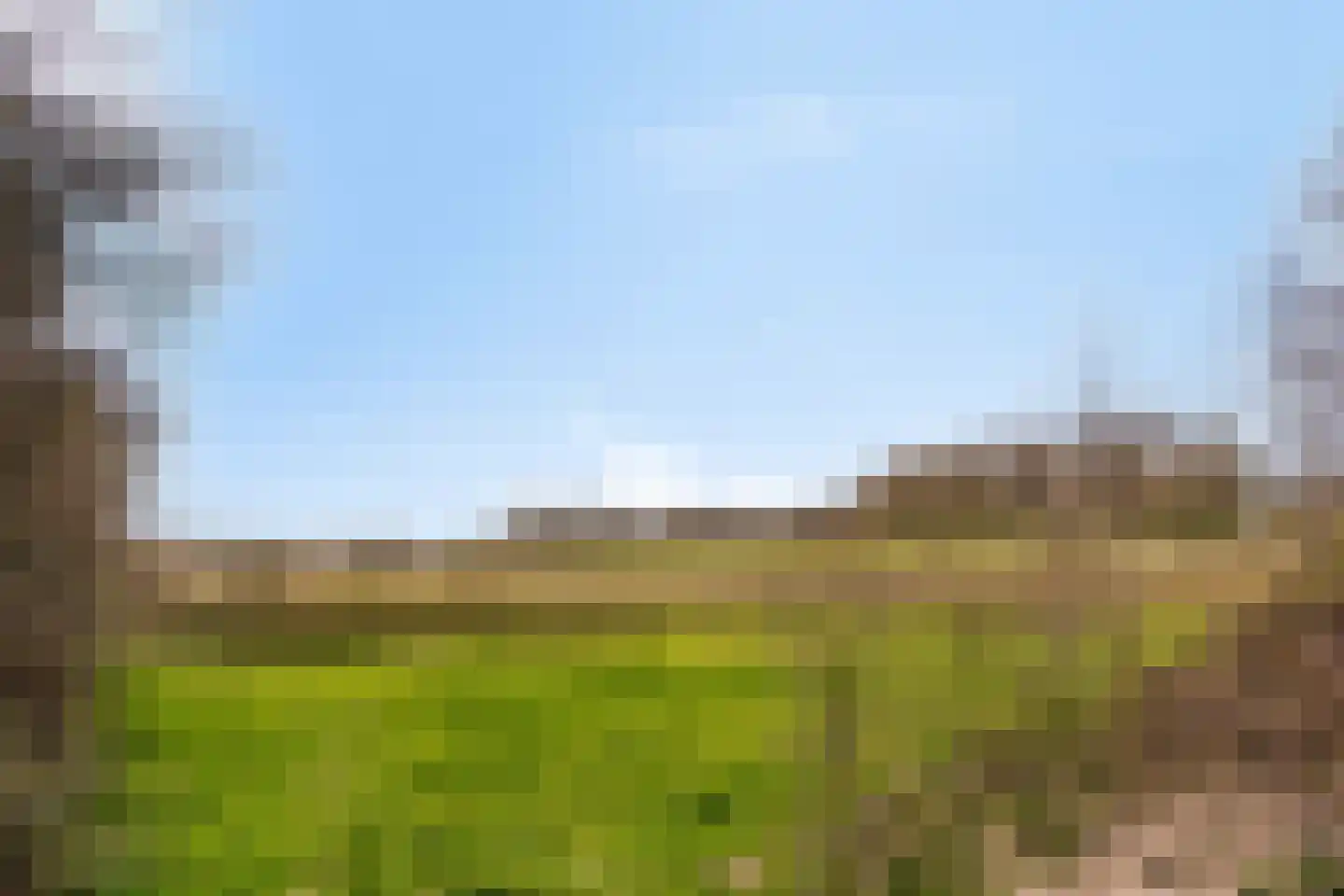 Tienelsweg 37 127 Zuidlaren thumbnail 46
