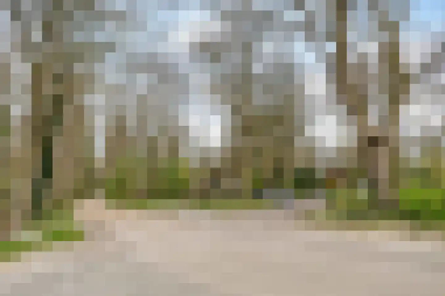 Tienelsweg 37 127 Zuidlaren thumbnail 47