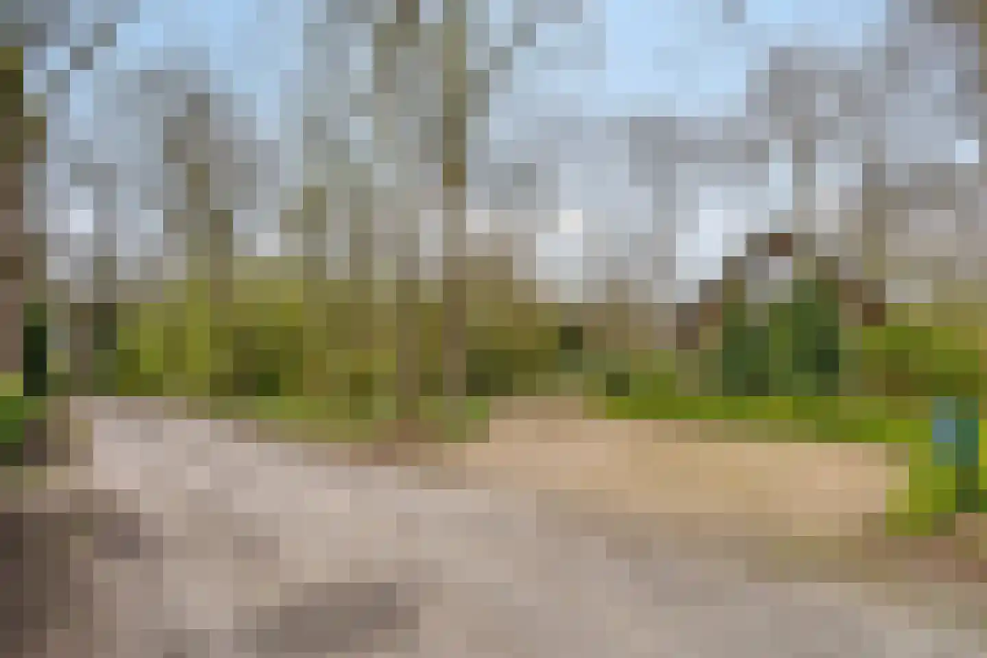 Tienelsweg 37 127 Zuidlaren thumbnail 5