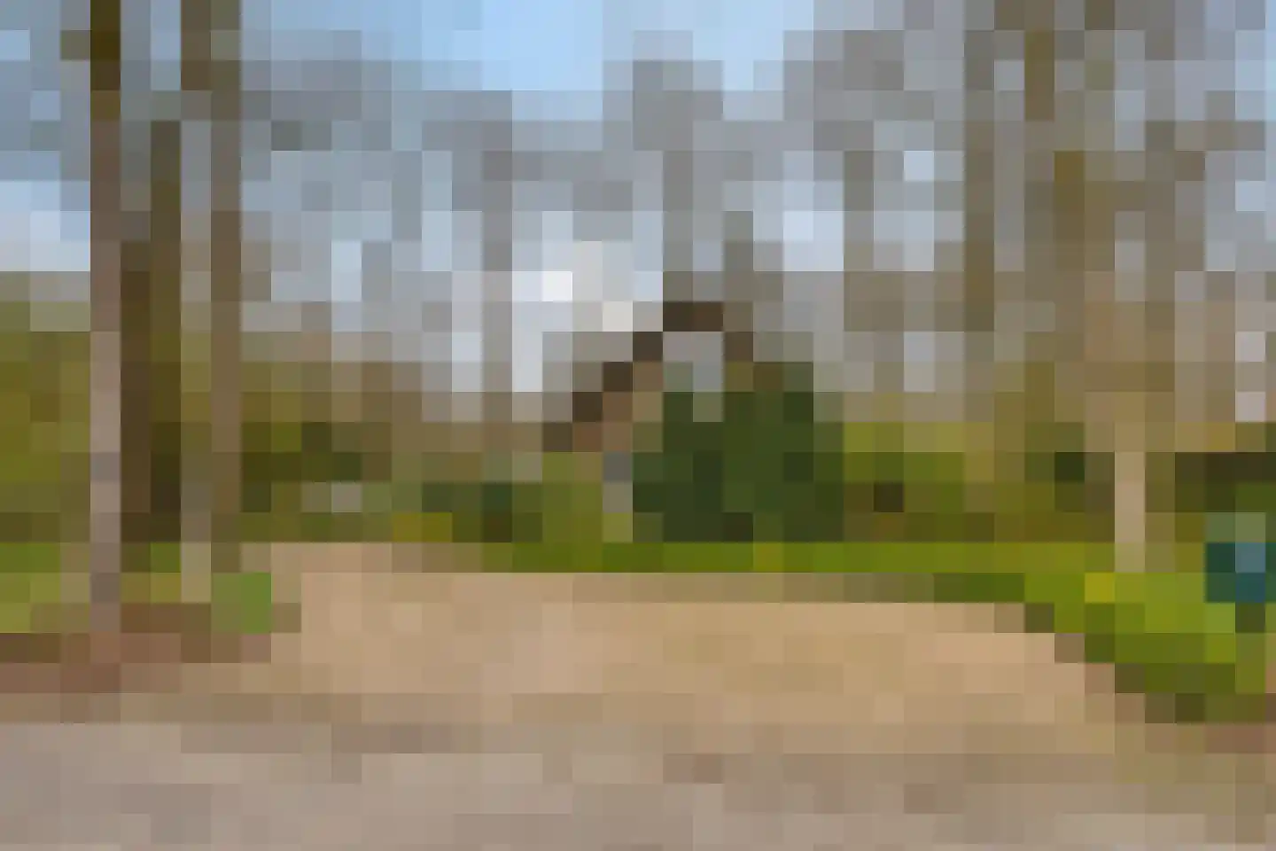 Tienelsweg 37 127 Zuidlaren thumbnail 6