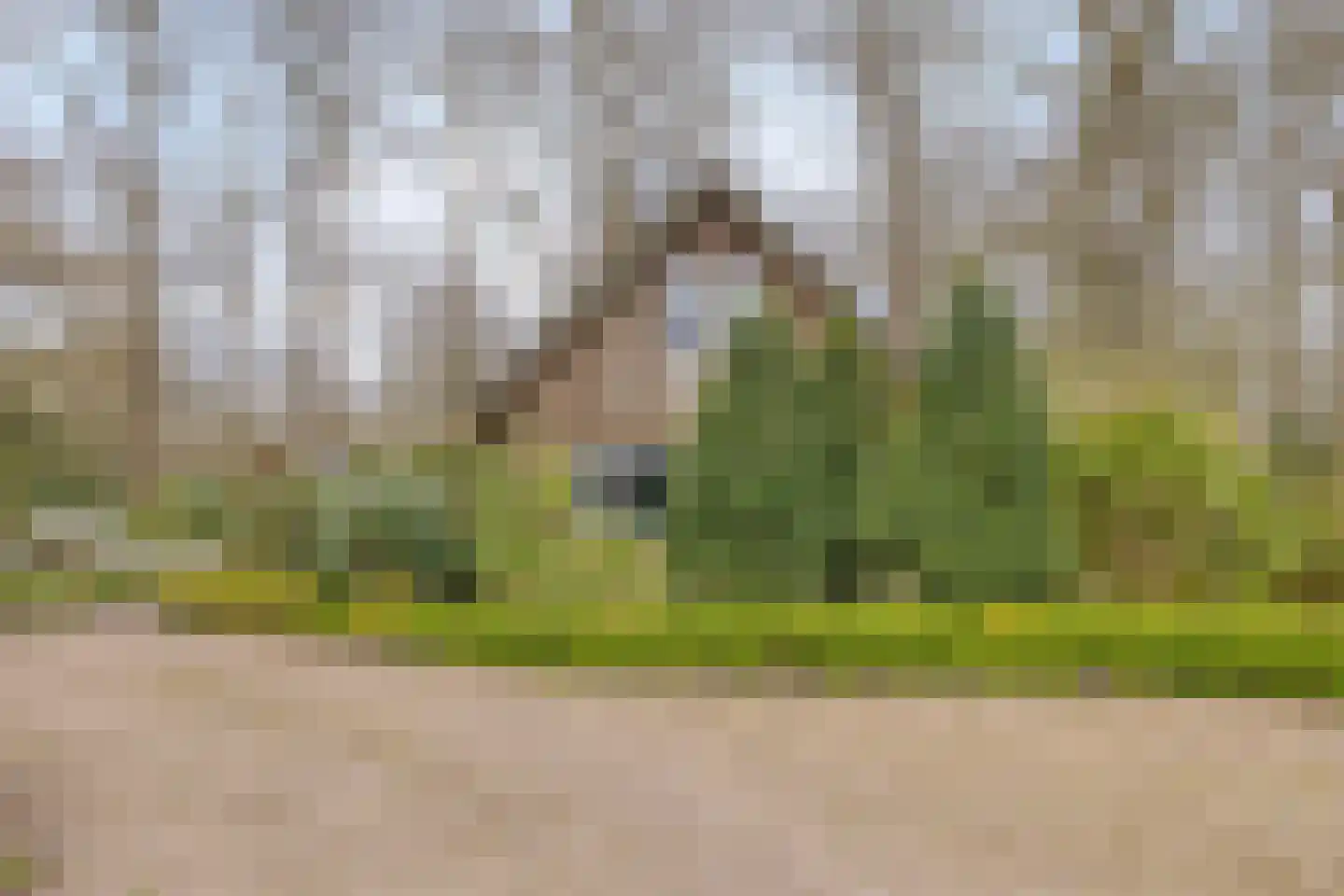 Tienelsweg 37 127 Zuidlaren thumbnail 7