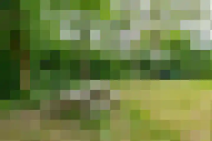 Tienelsweg 37 174 Zuidlaren thumbnail 13
