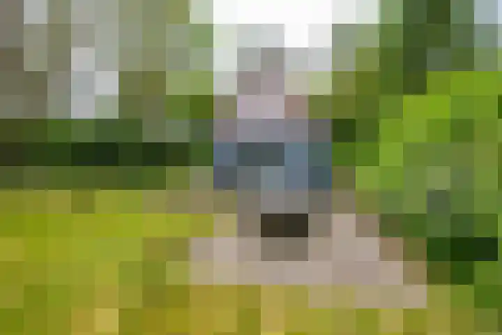 Tienelsweg 37 174 Zuidlaren thumbnail 14