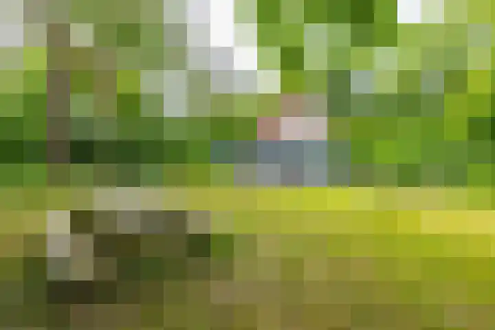 Tienelsweg 37 174 Zuidlaren thumbnail 15