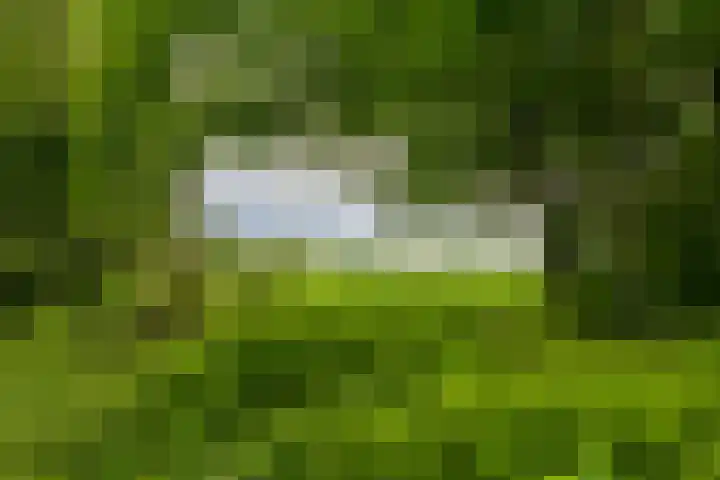 Tienelsweg 37 174 Zuidlaren thumbnail 17
