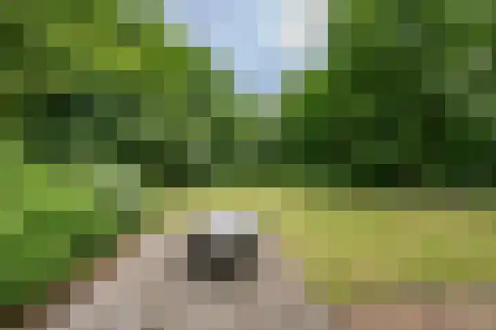 Tienelsweg 37 174 Zuidlaren thumbnail 18