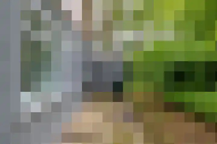 Tienelsweg 37 174 Zuidlaren thumbnail 19