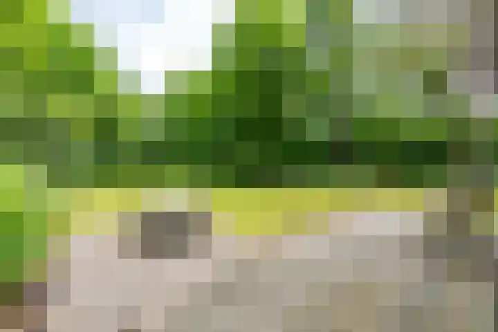 Tienelsweg 37 174 Zuidlaren thumbnail 20