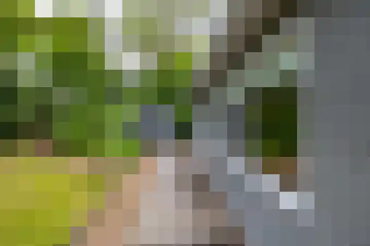 Tienelsweg 37 174 Zuidlaren thumbnail 21