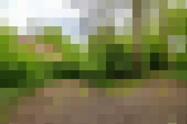 Tienelsweg 37 174 Zuidlaren thumbnail 22