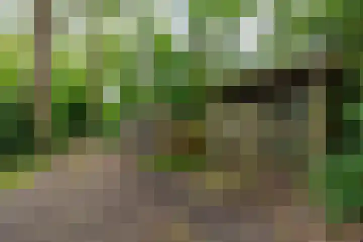 Tienelsweg 37 174 Zuidlaren thumbnail 23
