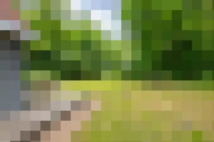 Tienelsweg 37 174 Zuidlaren thumbnail 24