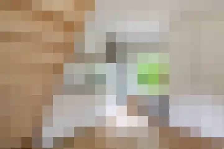 Tienelsweg 37 174 Zuidlaren thumbnail 37