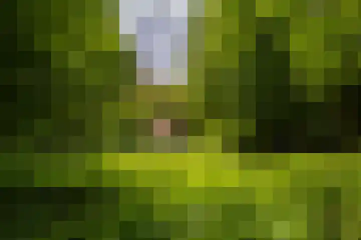 Tienelsweg 37 174 Zuidlaren thumbnail 42