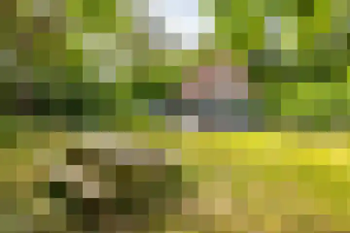 Tienelsweg 37 174 Zuidlaren thumbnail 44