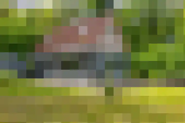 Tienelsweg 37 174 Zuidlaren thumbnail 46