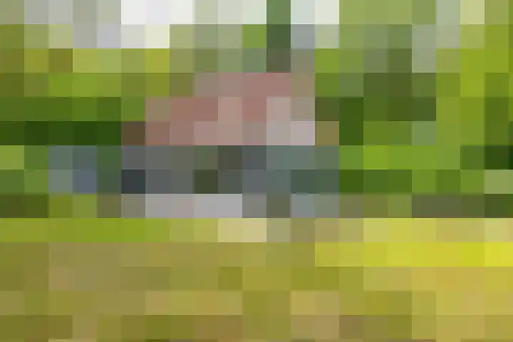 Tienelsweg 37 174 Zuidlaren thumbnail 47