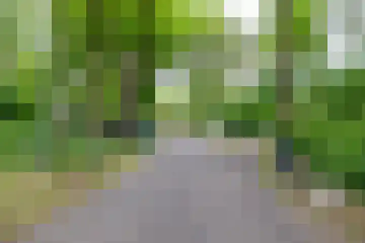 Tienelsweg 37 174 Zuidlaren thumbnail 6