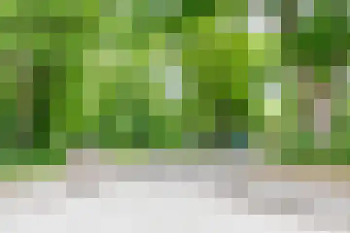 Tienelsweg 37 174 Zuidlaren thumbnail 7