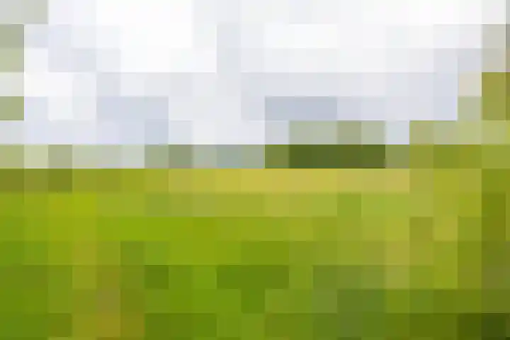 Tienelsweg 37 174 Zuidlaren thumbnail 8