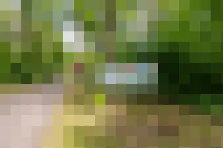 Tienelsweg 37 174 Zuidlaren thumbnail 9