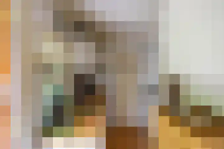 Tienelsweg 48 343 Zuidlaren thumbnail 11