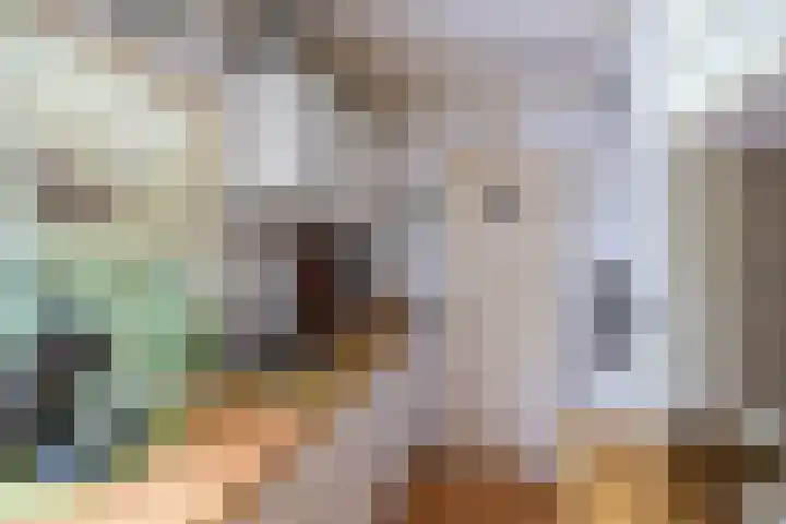 Tienelsweg 48 343 Zuidlaren thumbnail 12