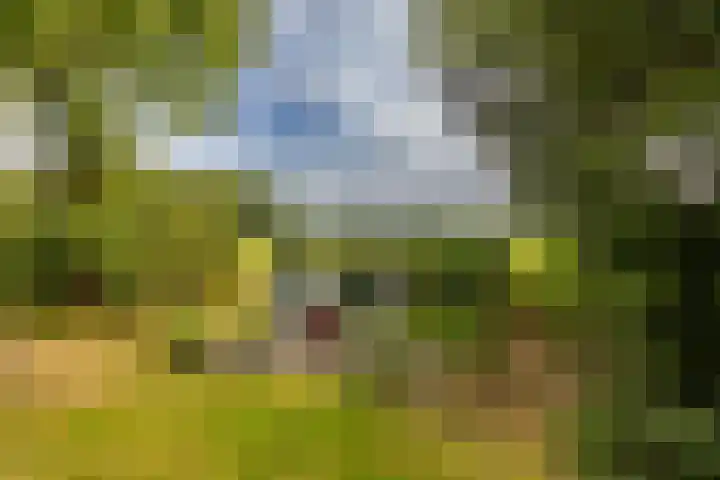 Tienelsweg 48 343 Zuidlaren thumbnail 18