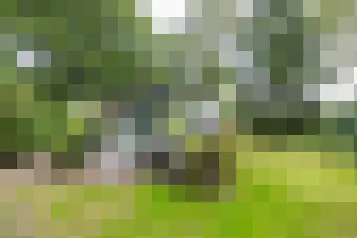 Tienelsweg 48 343 Zuidlaren thumbnail 19