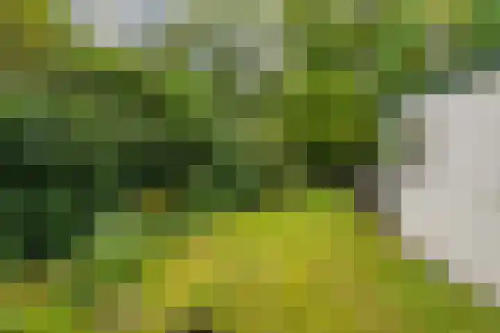 Tienelsweg 48 343 Zuidlaren thumbnail 21