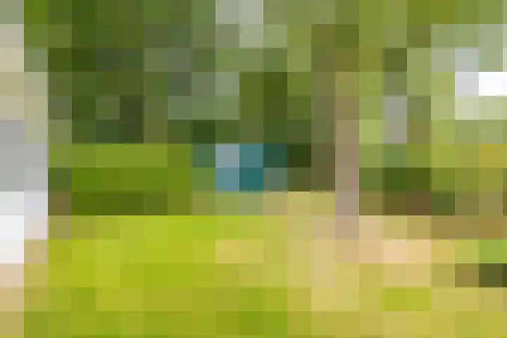 Tienelsweg 48 343 Zuidlaren thumbnail 22