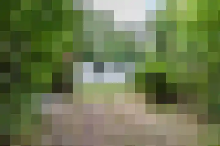 Tienelsweg 48 343 Zuidlaren thumbnail 23