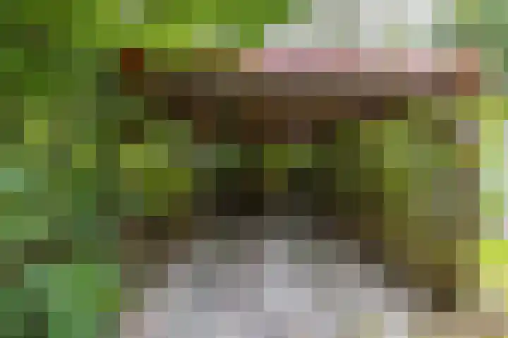 Tienelsweg 48 343 Zuidlaren thumbnail 24