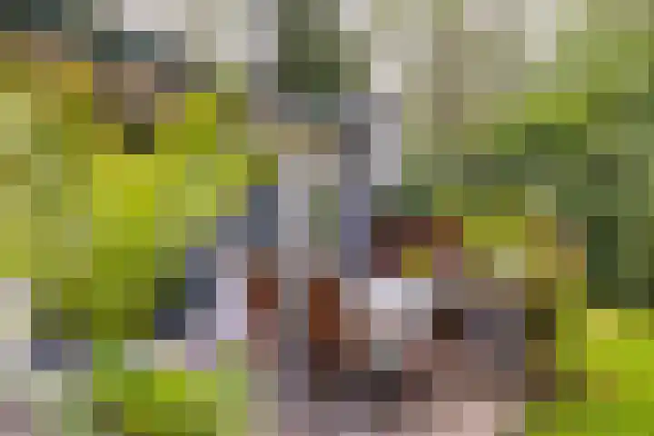 Tienelsweg 48 343 Zuidlaren thumbnail 25