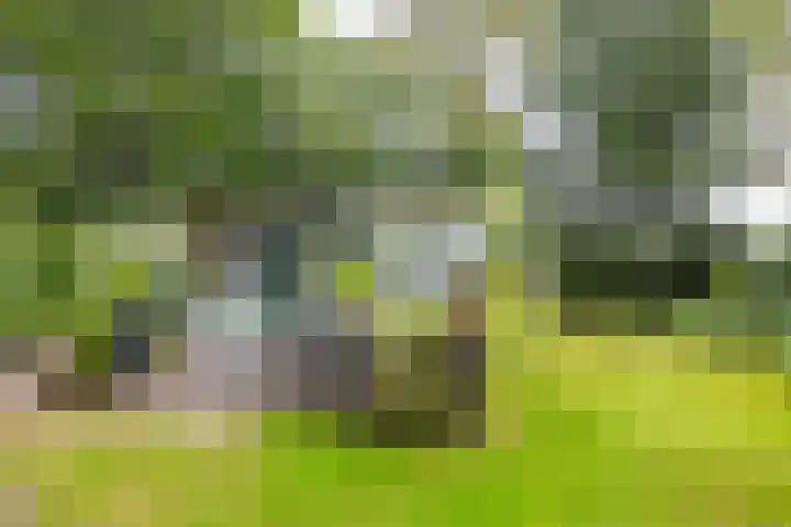 Tienelsweg 48 343 Zuidlaren thumbnail 26
