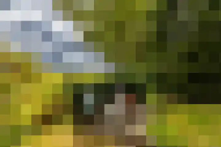 Tienelsweg 48 343 Zuidlaren thumbnail 27