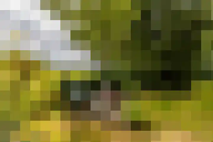 Tienelsweg 48 343 Zuidlaren thumbnail 28