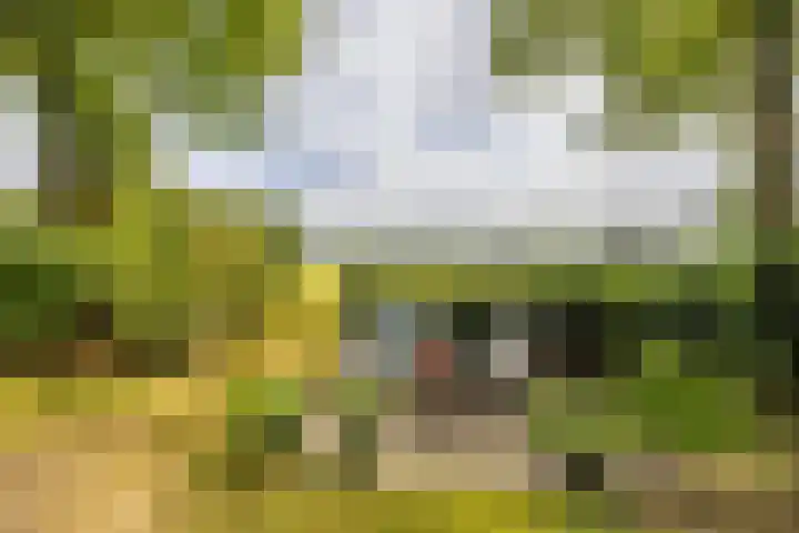 Tienelsweg 48 343 Zuidlaren thumbnail 29
