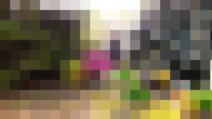 Tienelsweg 48 343 Zuidlaren thumbnail 30