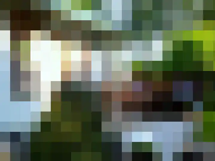 Tienelsweg 48 343 Zuidlaren thumbnail 33