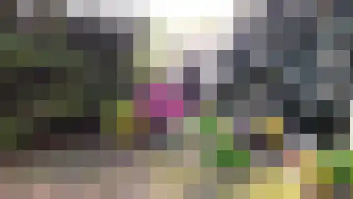 Tienelsweg 48 343 Zuidlaren thumbnail 35
