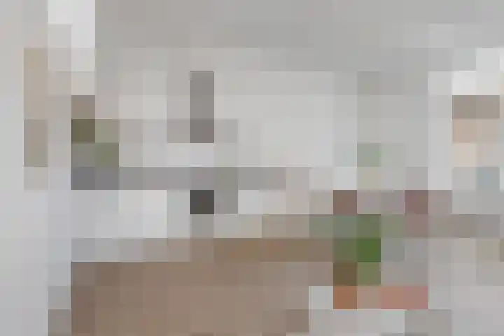 Tienenwal 14 A Alkmaar thumbnail 10