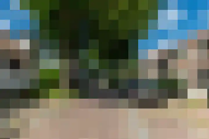 Tienenwal 14 A Alkmaar thumbnail 24