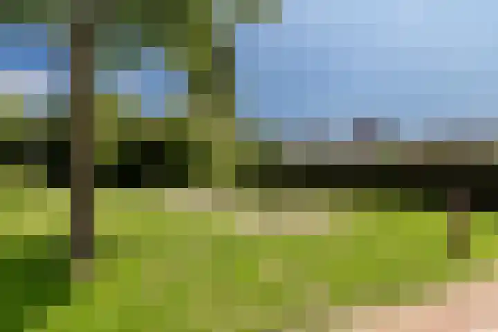 Tienenwal 14 A Alkmaar thumbnail 25